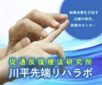 促通反復療法研究所 川平先端リハラボ